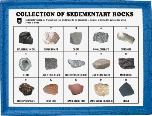 15-collection-of-15-sedementary-rocks-pm-500x500